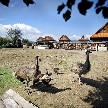 Raj Σπίτι διακοπών *