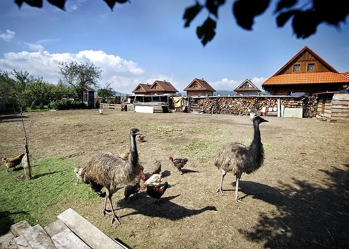 Raj Casa de Férias *